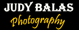 Photography and photo album by Judy Balas